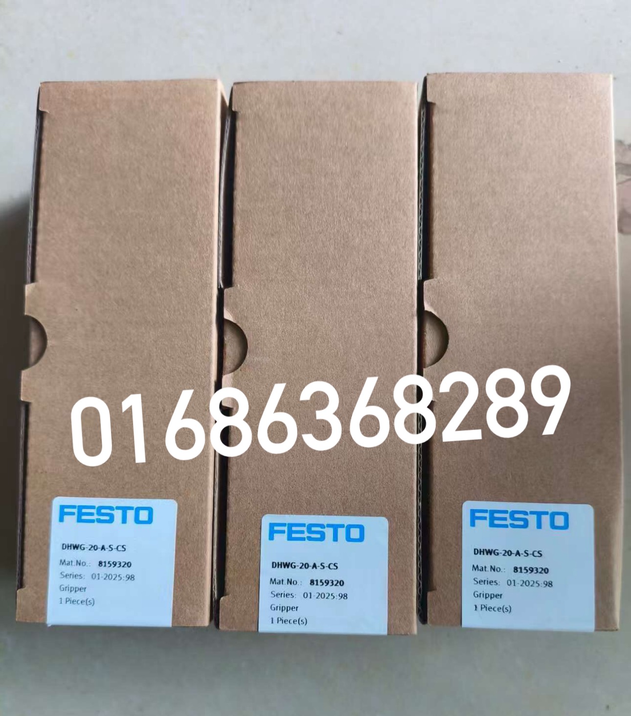 Festo DHWG-20-A-S-CS 8159320